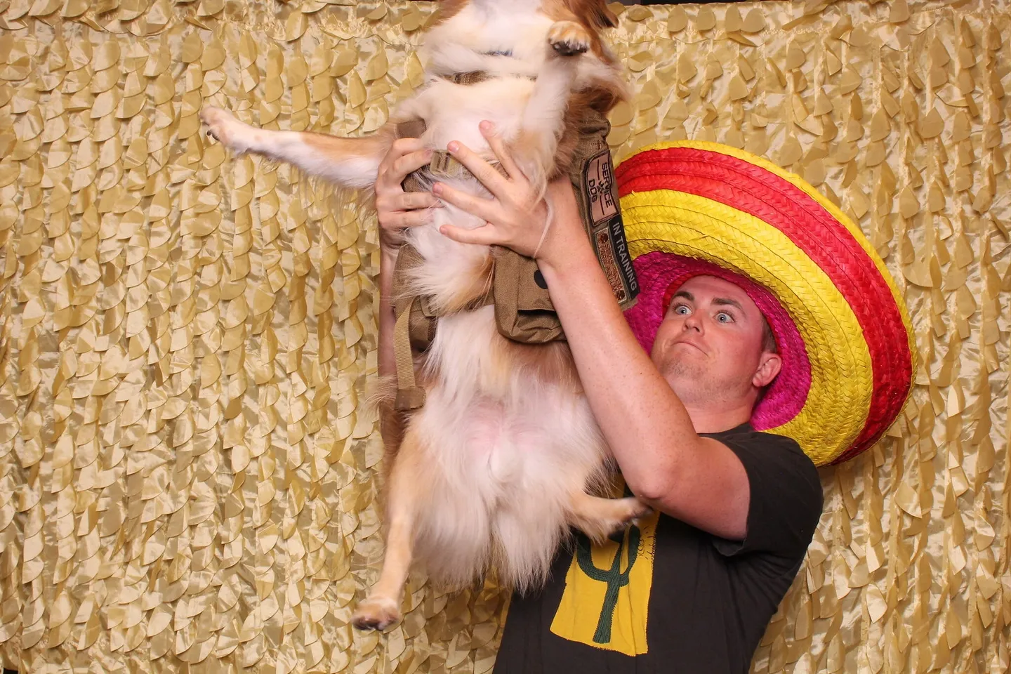 cidydog